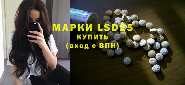 apvp Верея
