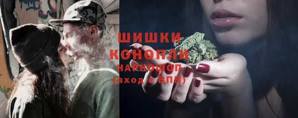 apvp Верея