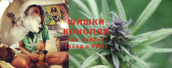 apvp Верея